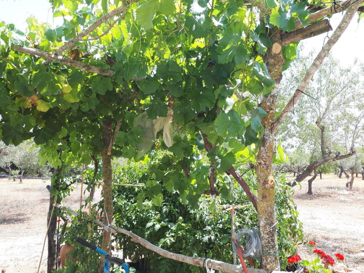 Casa De Bello ตอร์โตซา ภายนอก รูปภาพ